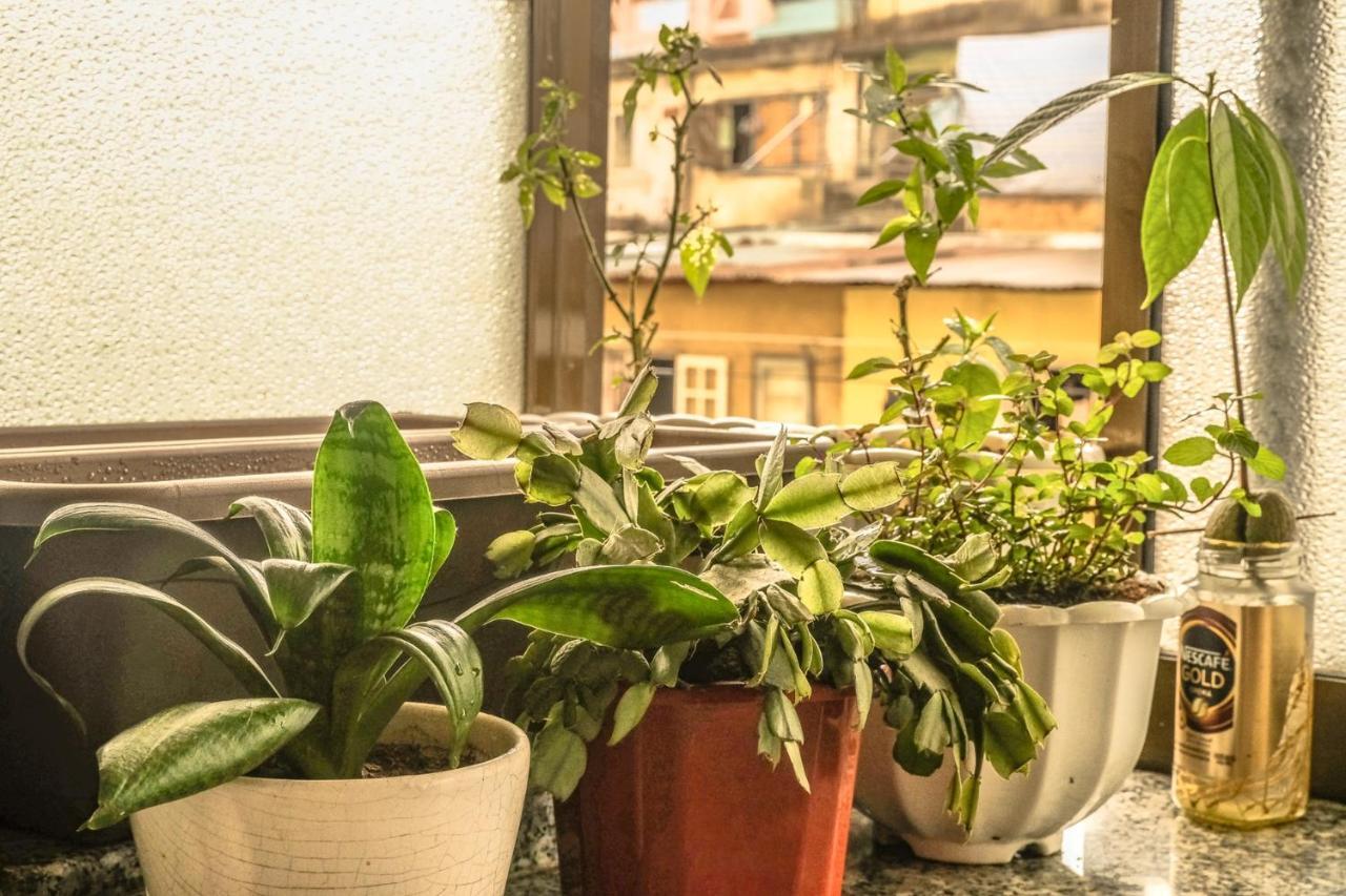 Dora Hostel Далат Екстер'єр фото
